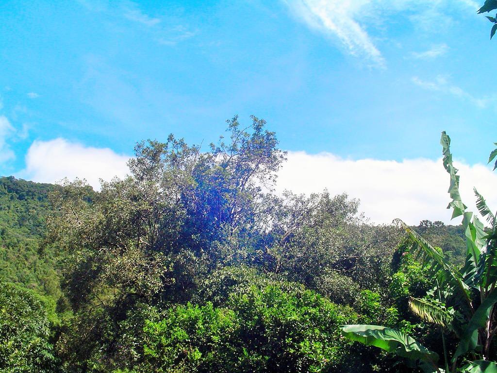 Casa Dell Angelo Apartamentos Visconde De Maua Bagian luar foto