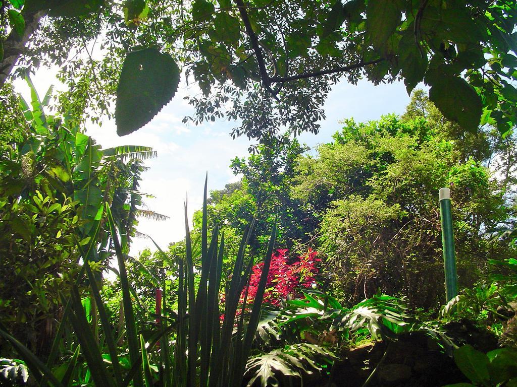 Casa Dell Angelo Apartamentos Visconde De Maua Bagian luar foto