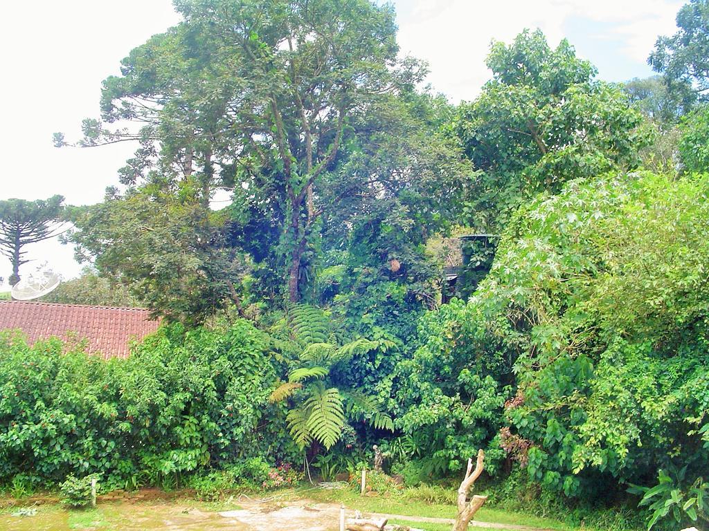 Casa Dell Angelo Apartamentos Visconde De Maua Bagian luar foto